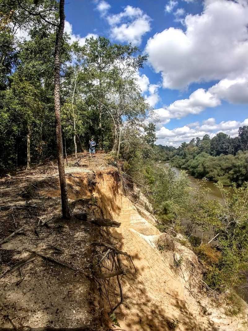 A Rare Geological Window Into Coastal Plain History