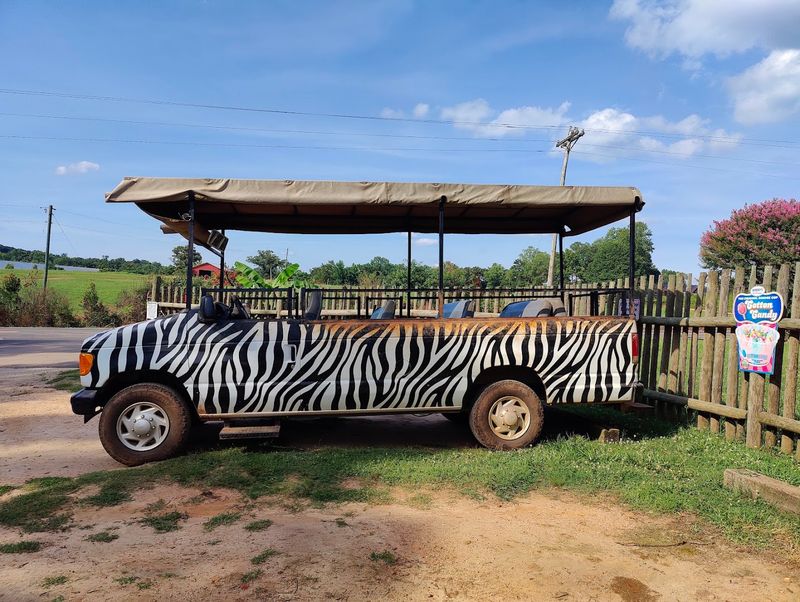 Why Renting A Park Vehicle Is Smart