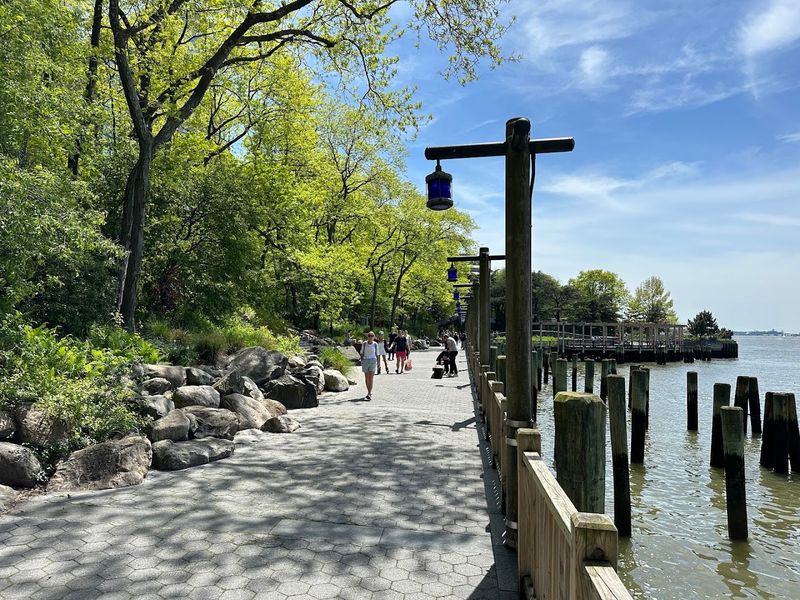 Quiet Morning Runs Along the River