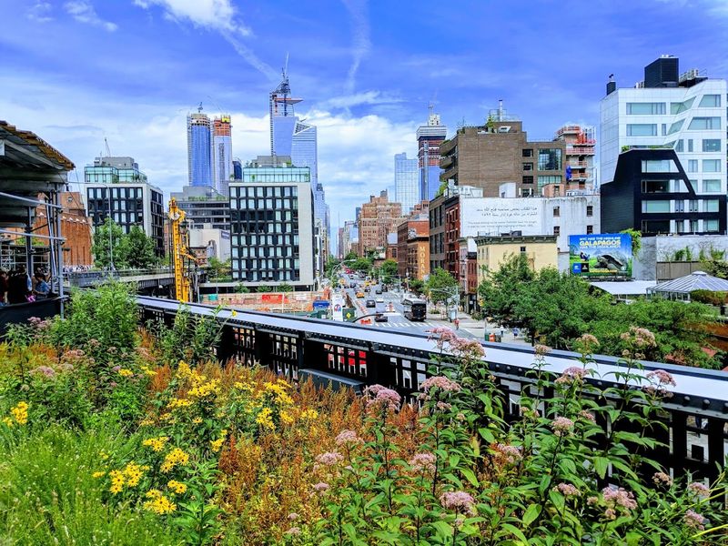 Gardens Designed to Feel Wild and Natural