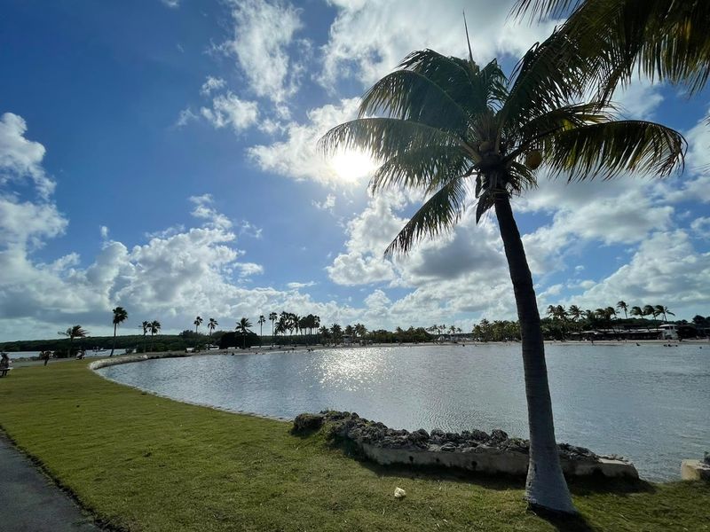 Scenic Views Across Biscayne Bay