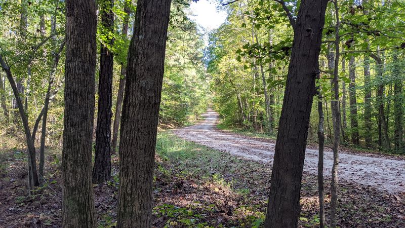 The Trail That Defines the Experience: Company Mill Loop