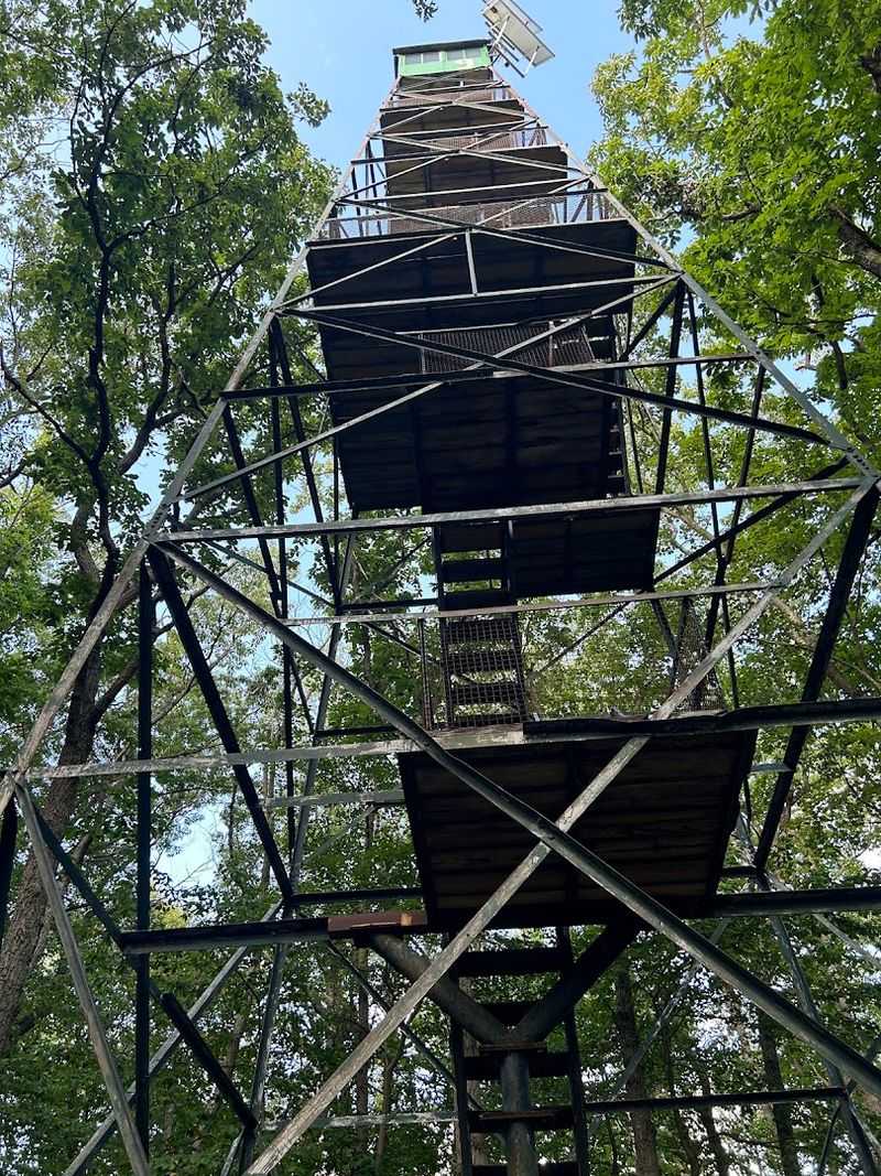 The Historic Fire Tower Still Offers a Remarkable Lookout