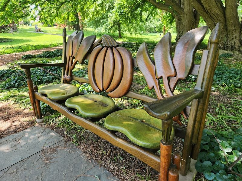 Furniture That Frames the View