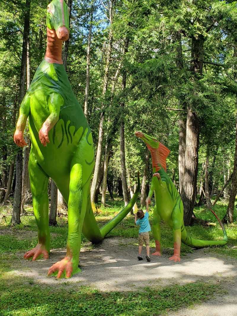 Prehistoric Forest - Ossineke