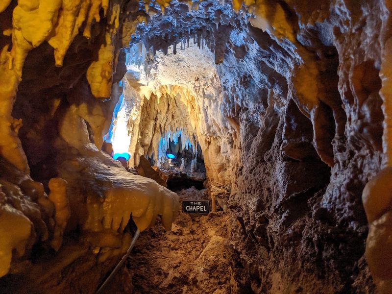 Why the Guided Tour Makes a Difference