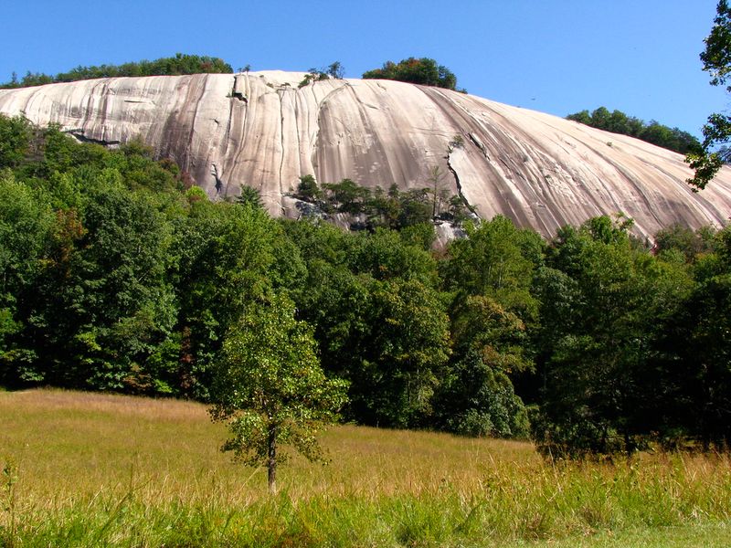 Trout Streams, Wildlife, and Quiet Forests