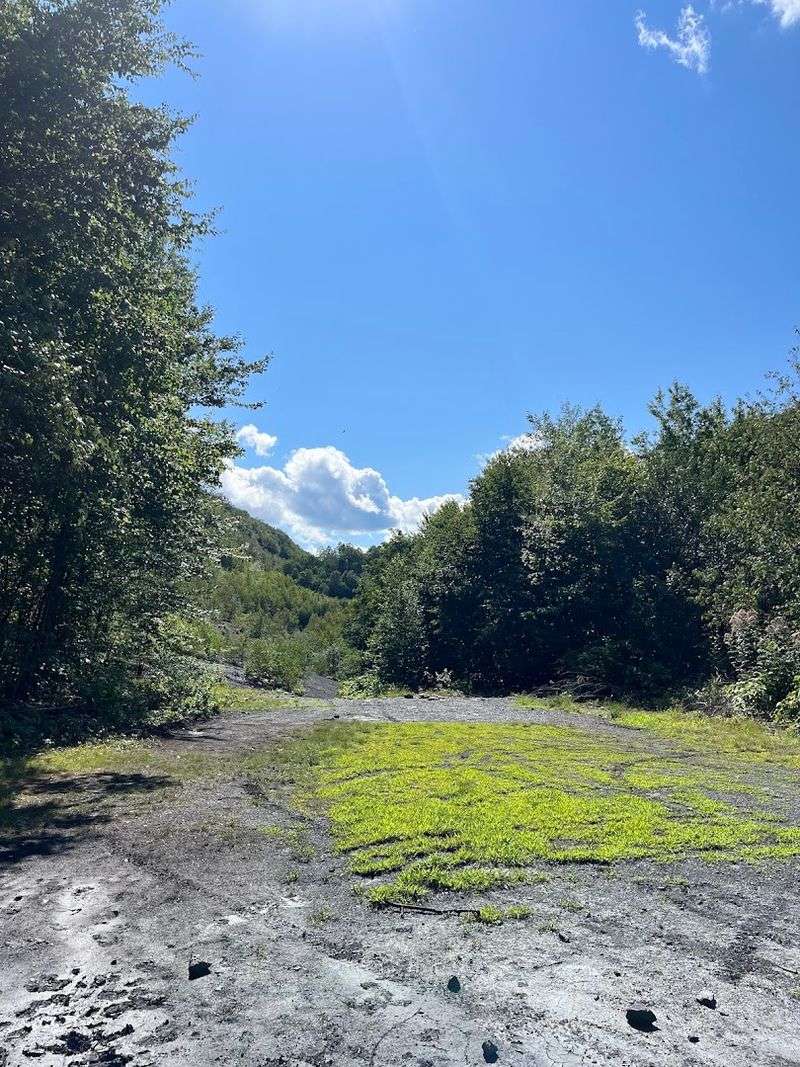 The Mountain Views Reveal the Scale of Pennsylvania's Coal Industry