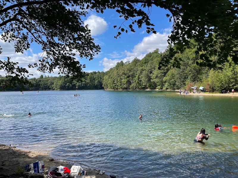 Swimming and Sunbathing