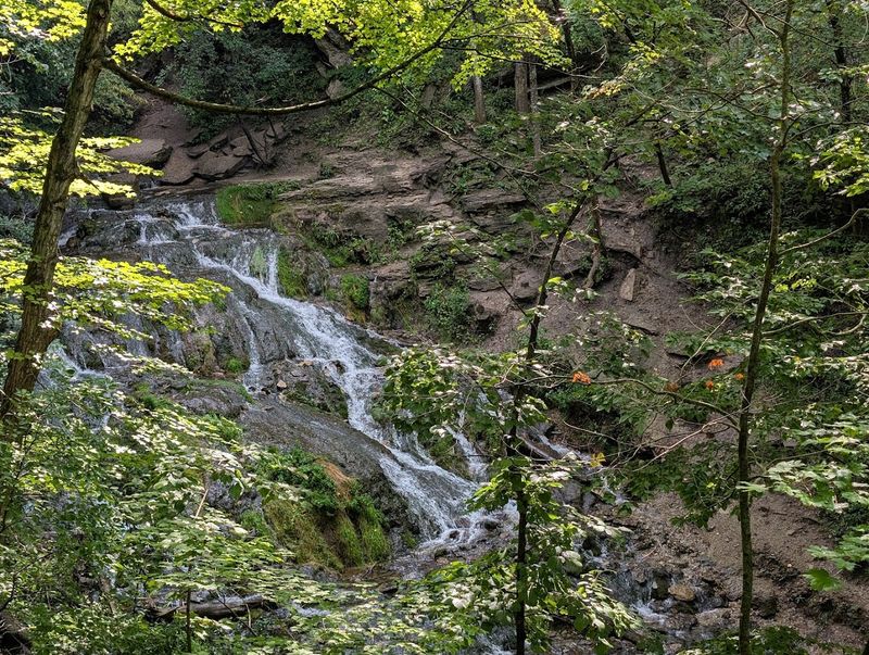 Seasonal Tips and Why the Park Feels So Memorable