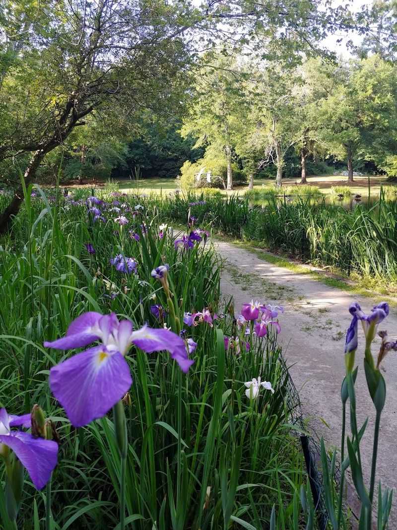 Easy Trails Make Wildlife Viewing Feel Effortless