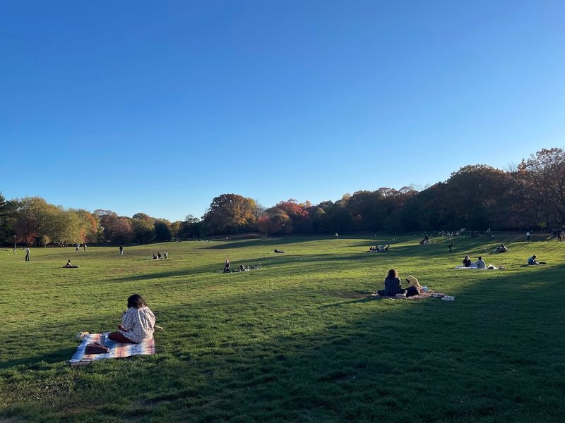 Long Meadow