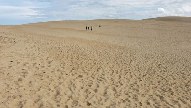 The Largest Living Sand Dune On The East Coast Is Right Here In North Carolina