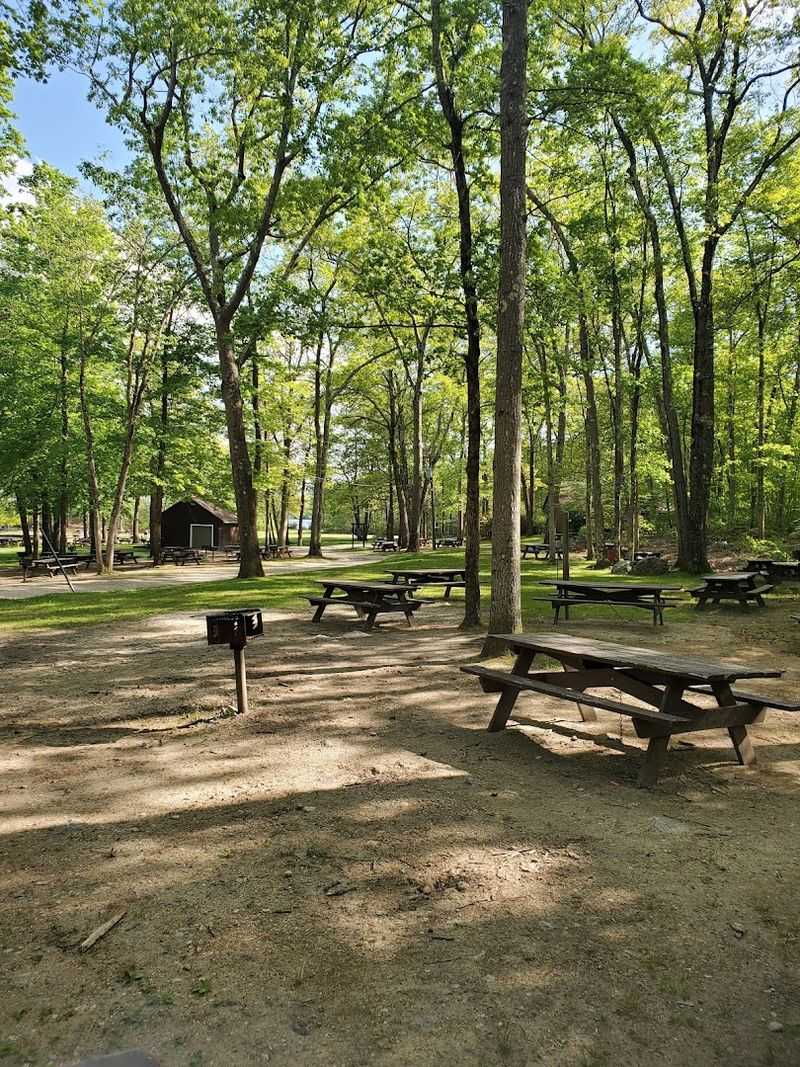 Picnic Groves And Summer Cookouts