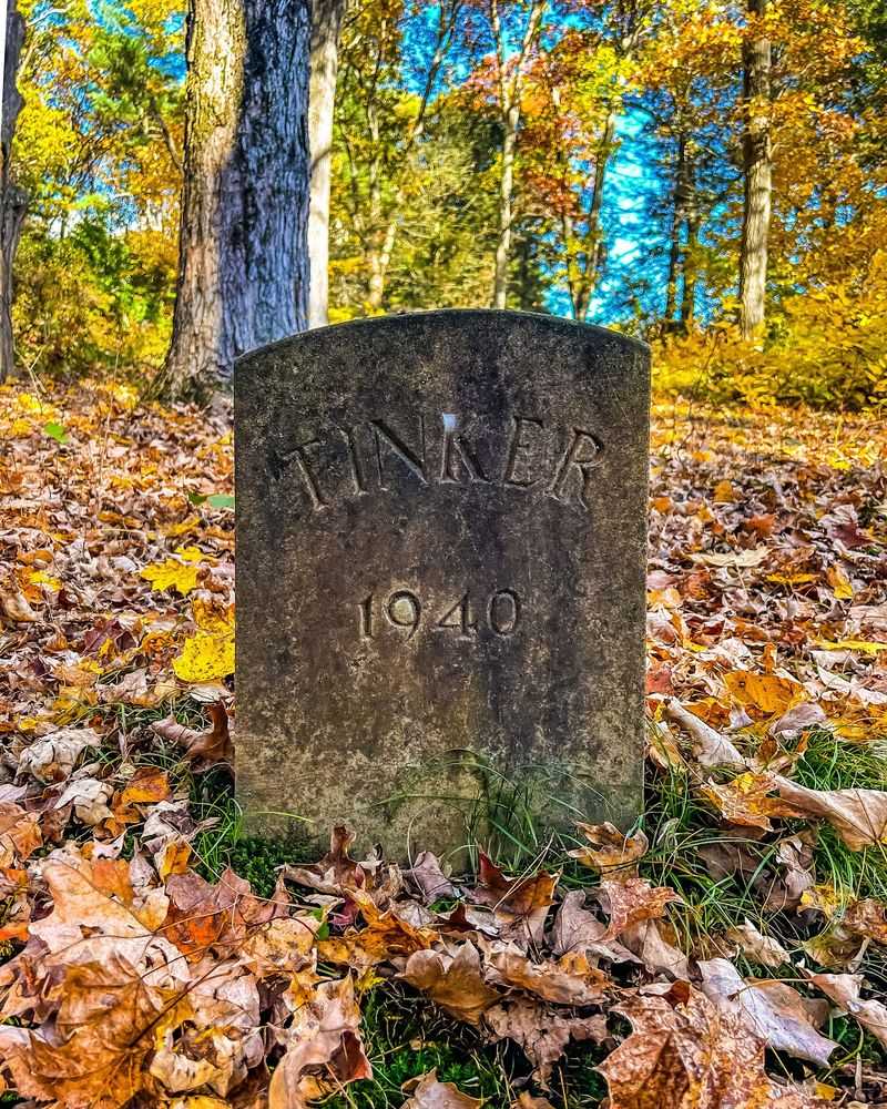 The Historic Pet Cemetery