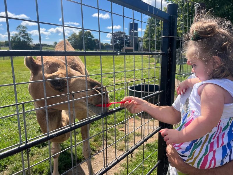Action Wildlife Foundation (Goshen)