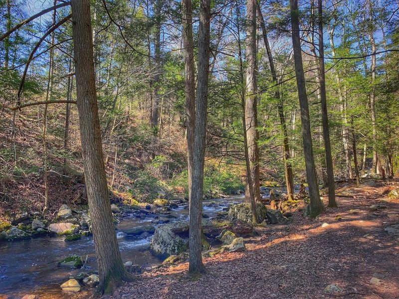 Hikers Can Discover Clues To The Park's Past