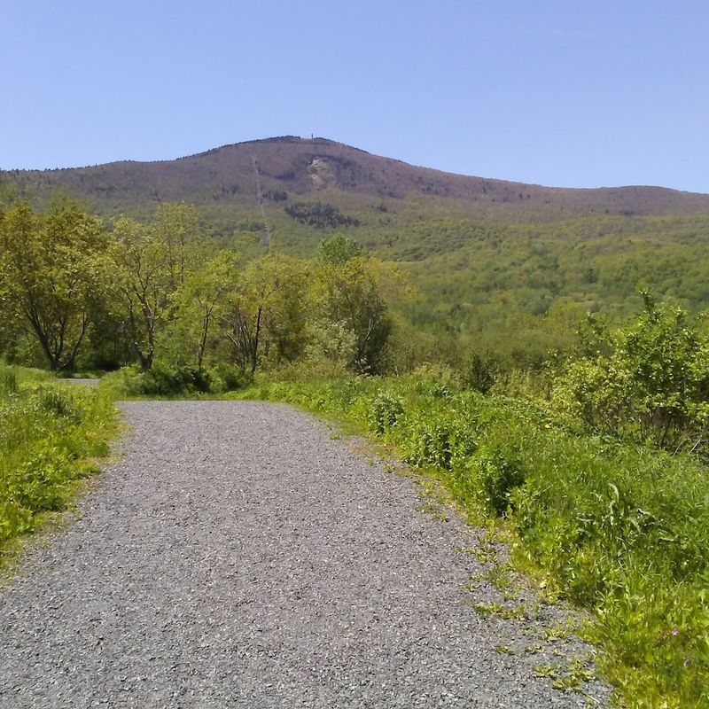 The Mountain View Bonus