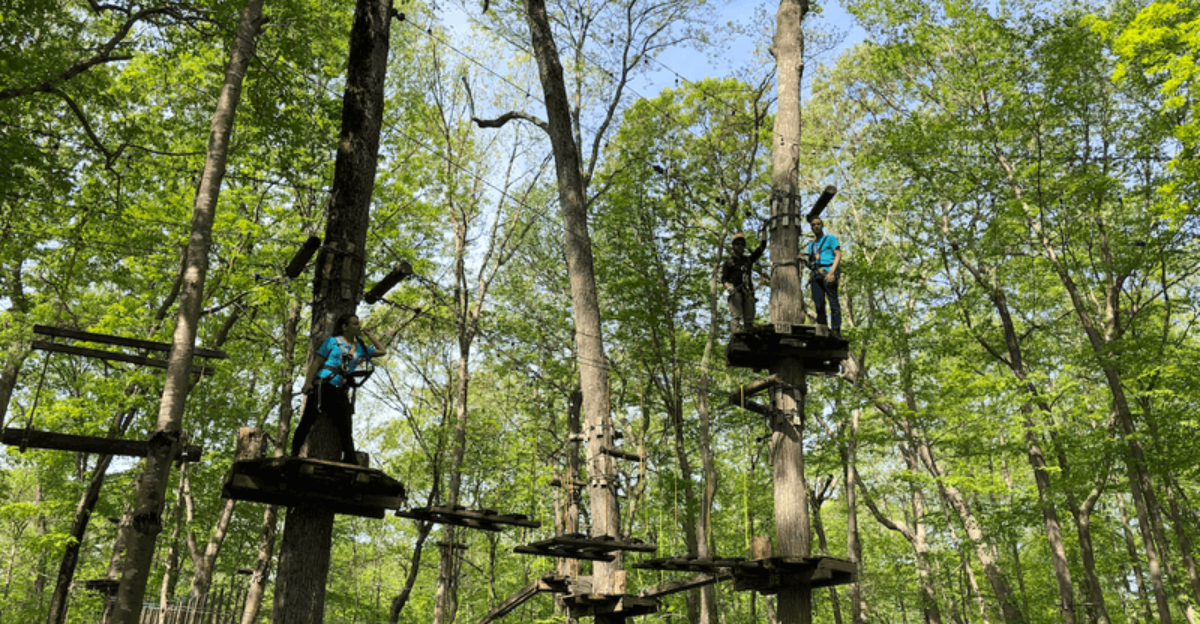 The Most Fun We’ve Had Started At These 10 Connecticut Adventure Parks