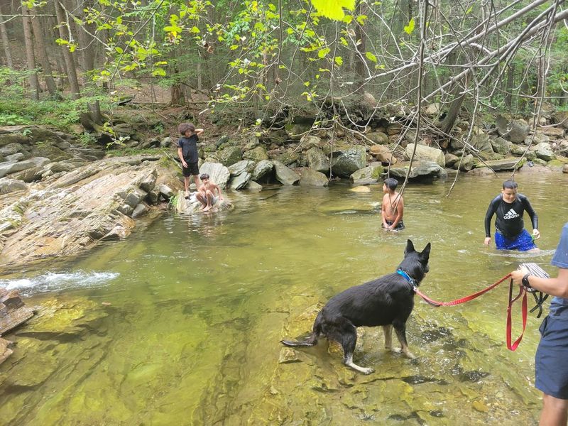 Swimming And Wading At Umpachene Falls: What Visitors Should Expect