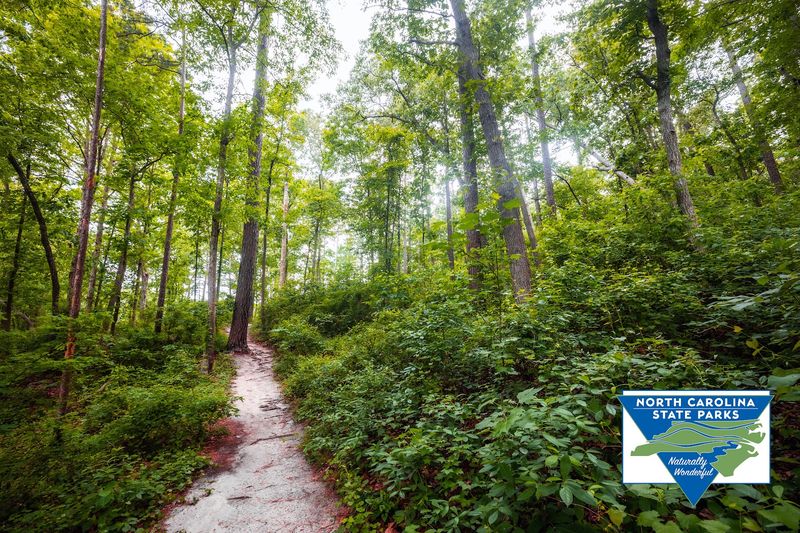 The 350-Yard Trail to the Iconic Overlook
