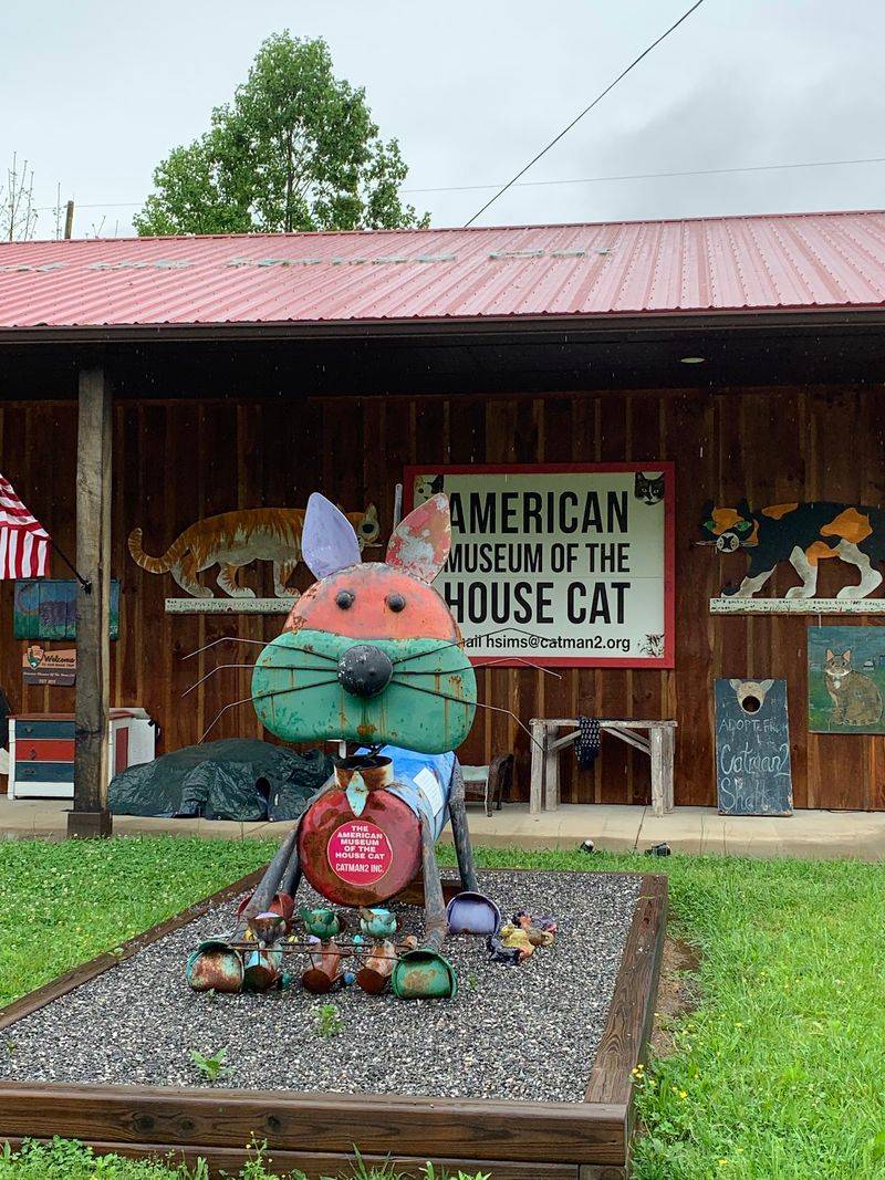 The American Museum of the House Cat - Sylva, NC