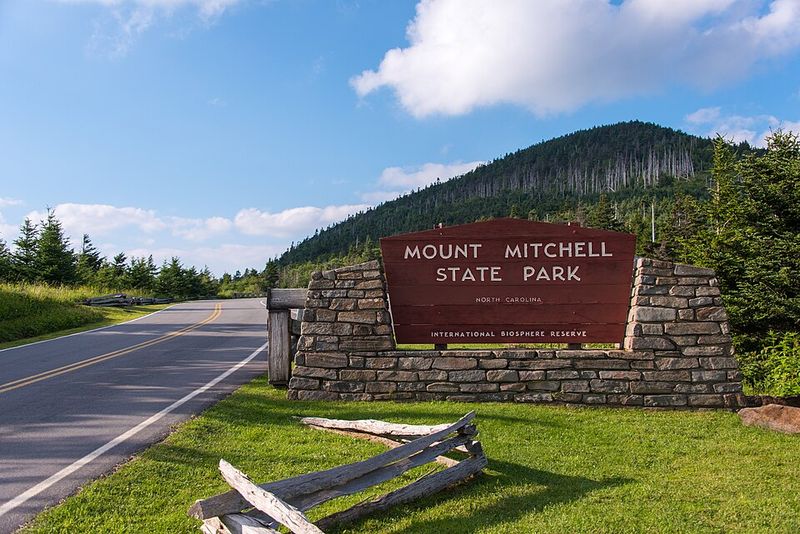 The Drive to Mount Mitchell State Park