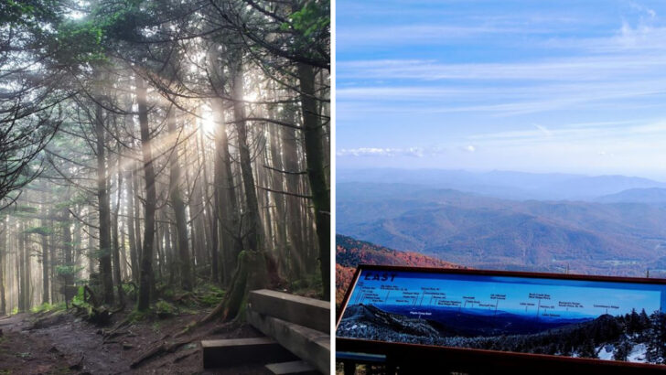 The North Carolina State Park Where You Can Stand On The Highest Peak East Of The Mississippi