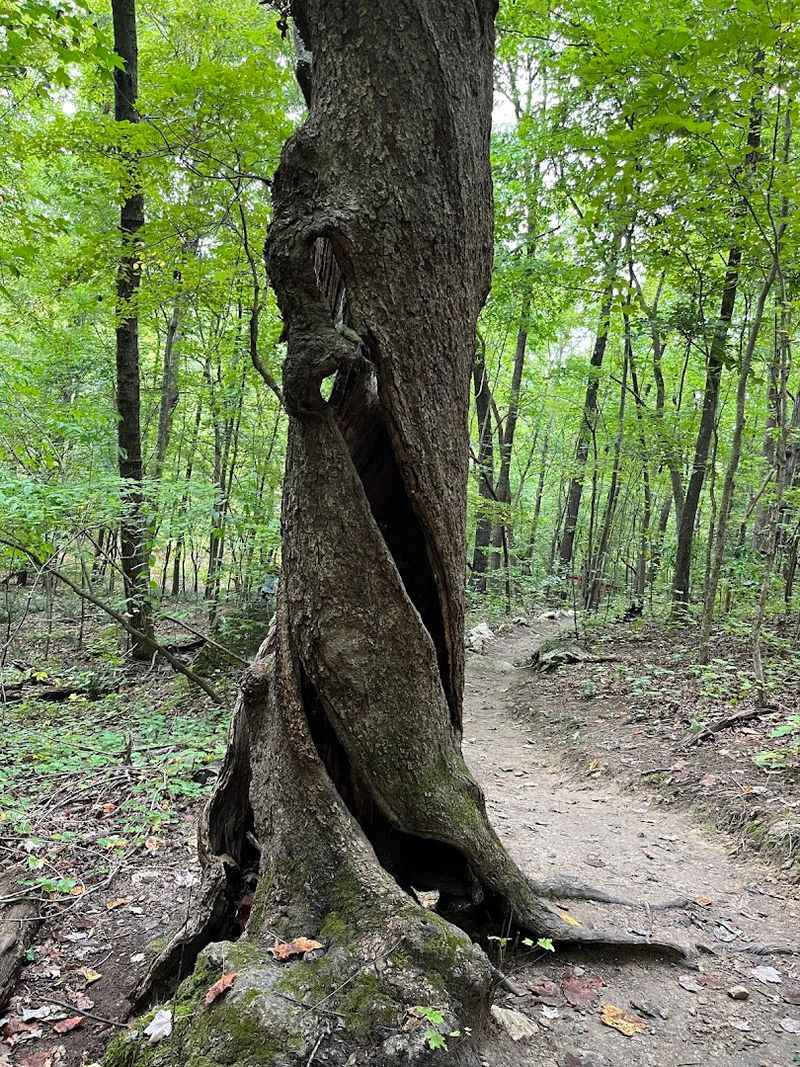 Short Side Trails Worth Exploring