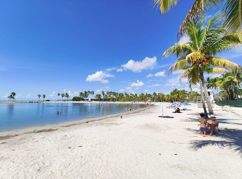 Why Families Love Swimming Here