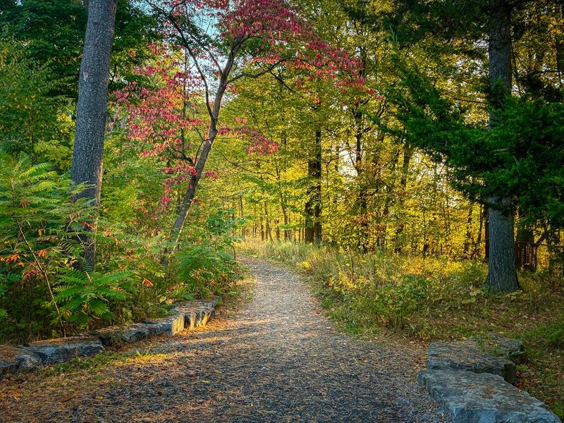 The Waterfall Is Only One Part Of A Larger Cayuga Lake Getaway