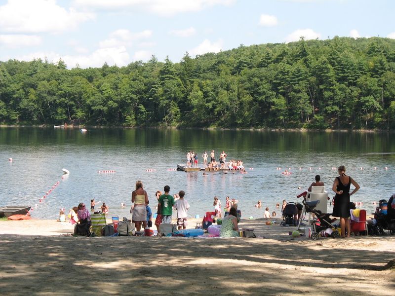Why Families And Casual Swimmers Like It