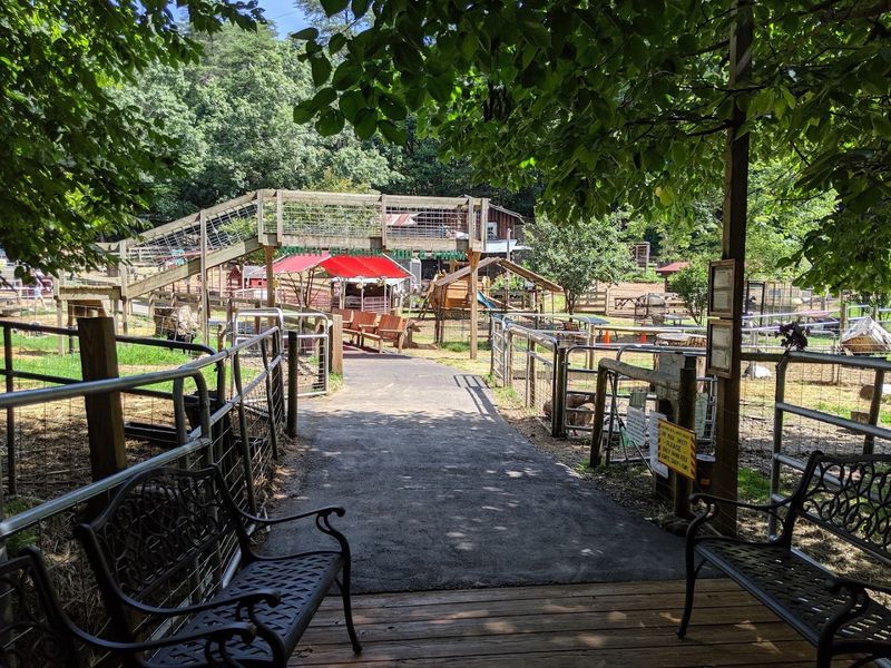 A Family-Friendly Destination Surrounded by North Georgia Scenery