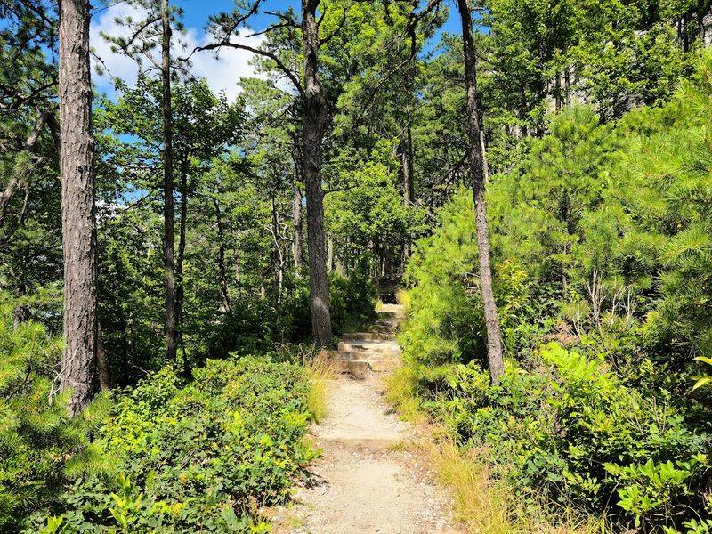 Grindstone Trail: The Park's Toughest and Most Scenic Challenge