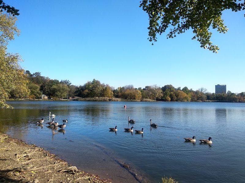 The Lake