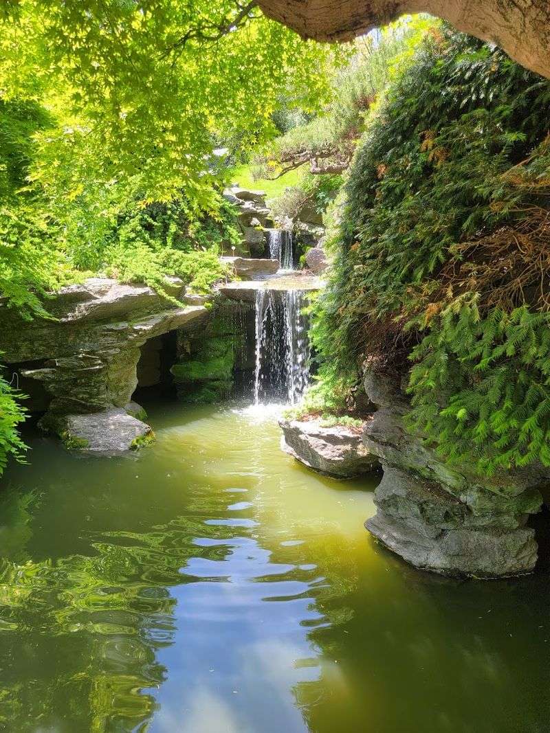 The Waterfall and Stream