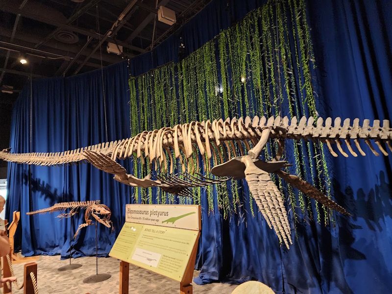 Orlando Science Center - Orlando