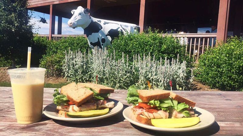 Barstows's Homemade - Amherst, Hampshire County