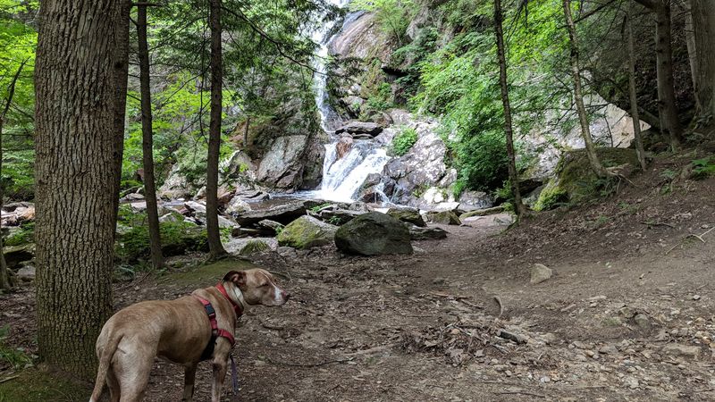 Where Connecticut Meets Massachusetts