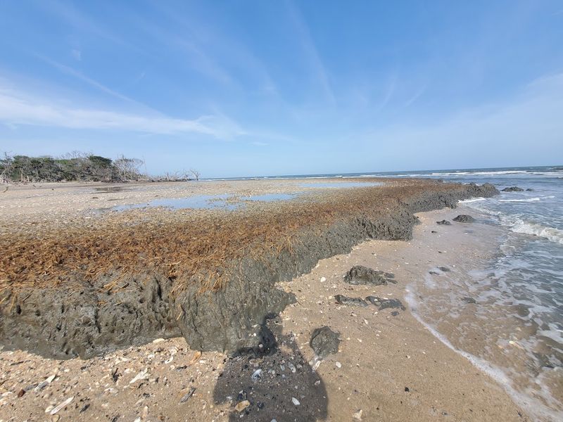 Why Low Tide Timing Makes or Breaks Your Visit
