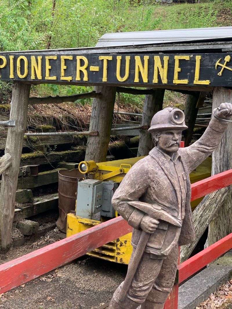The Historic Locomotive Once Hauled Coal, Not Tourists