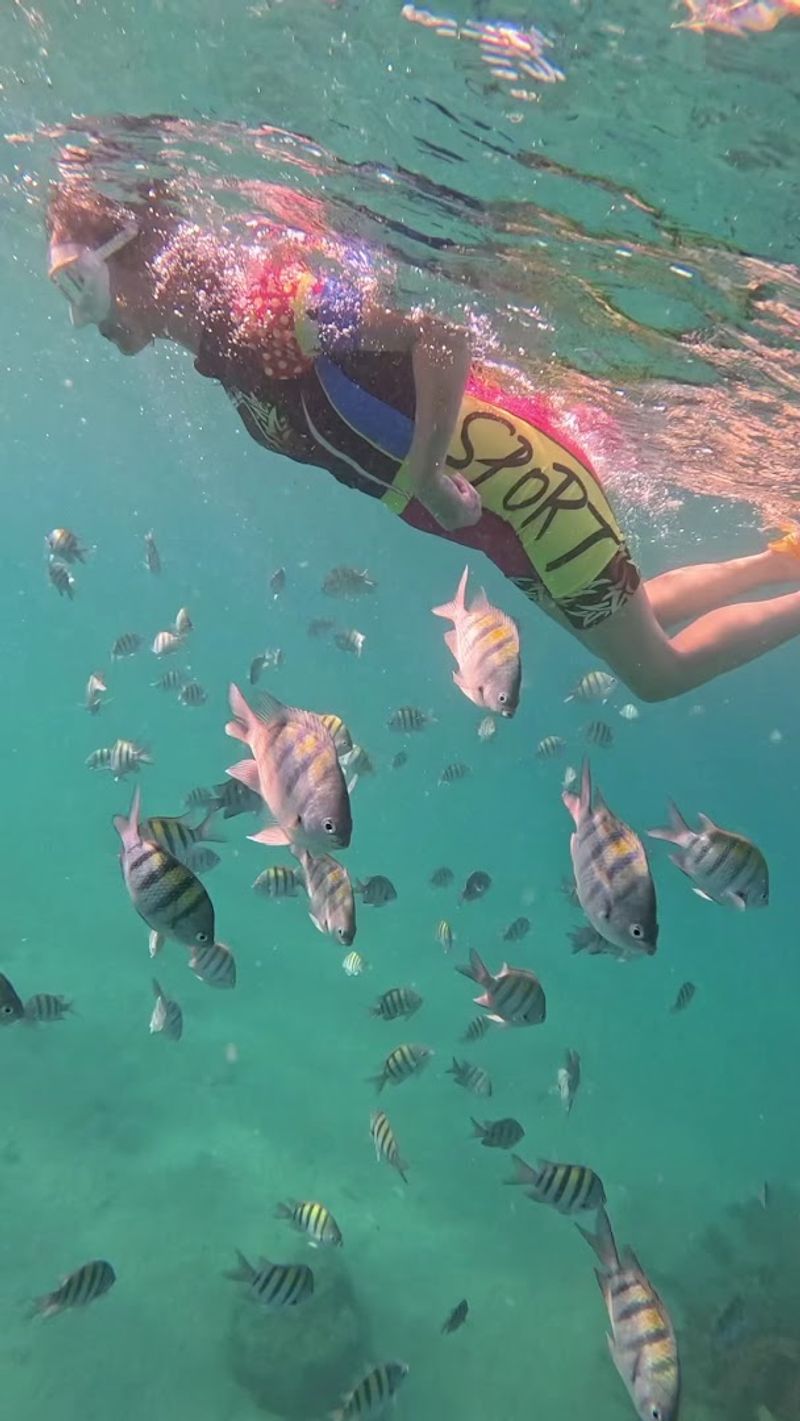 What Makes This Snorkel Spot So Special