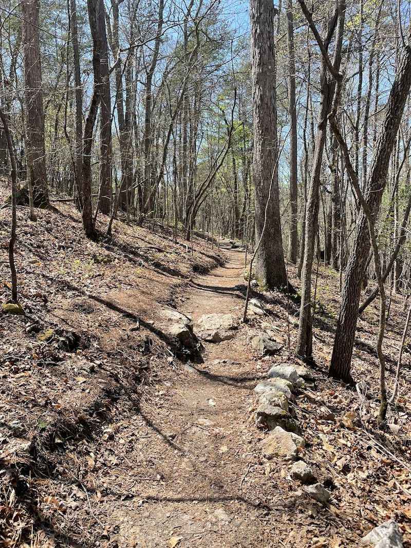The Occoneechee Mountain Loop Trail