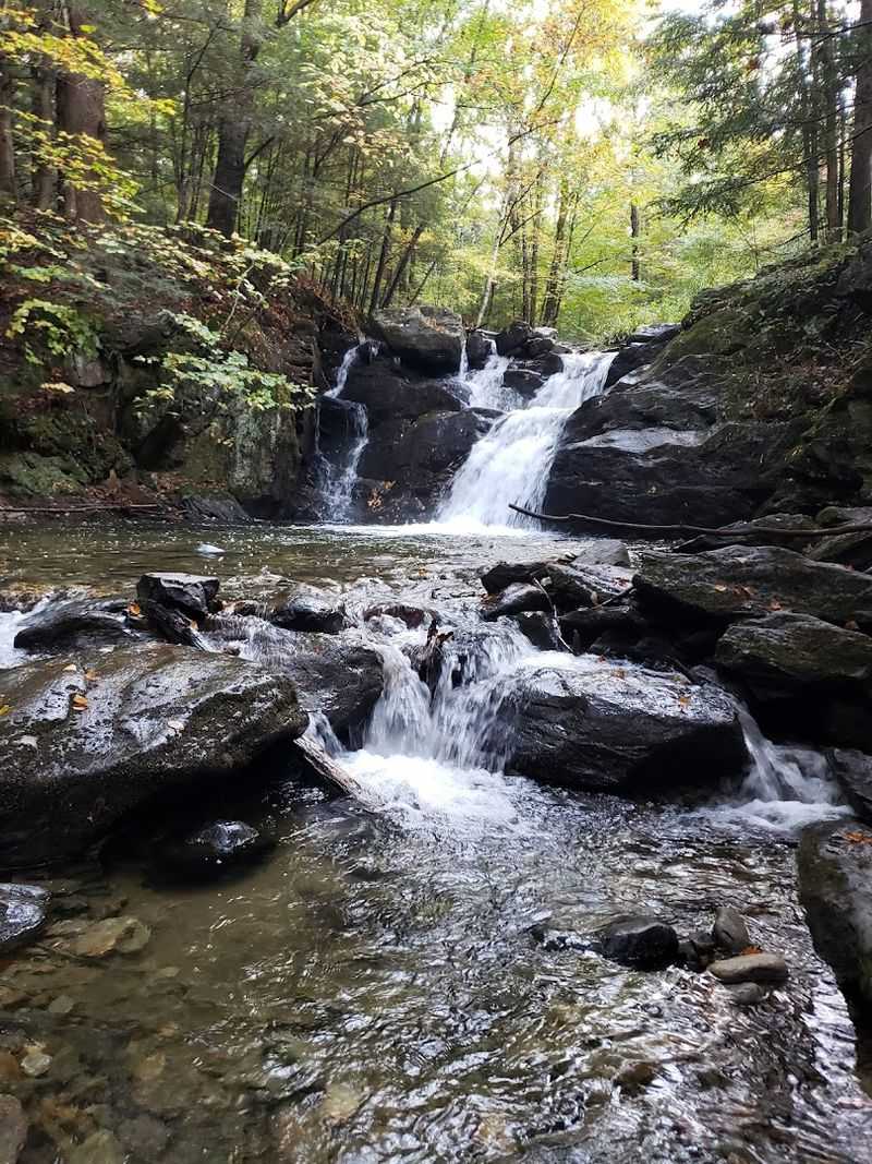 The Lower Falls Extension