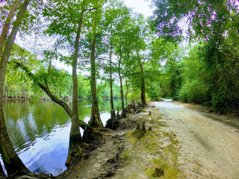 A 115-Mile Wilderness Journey
