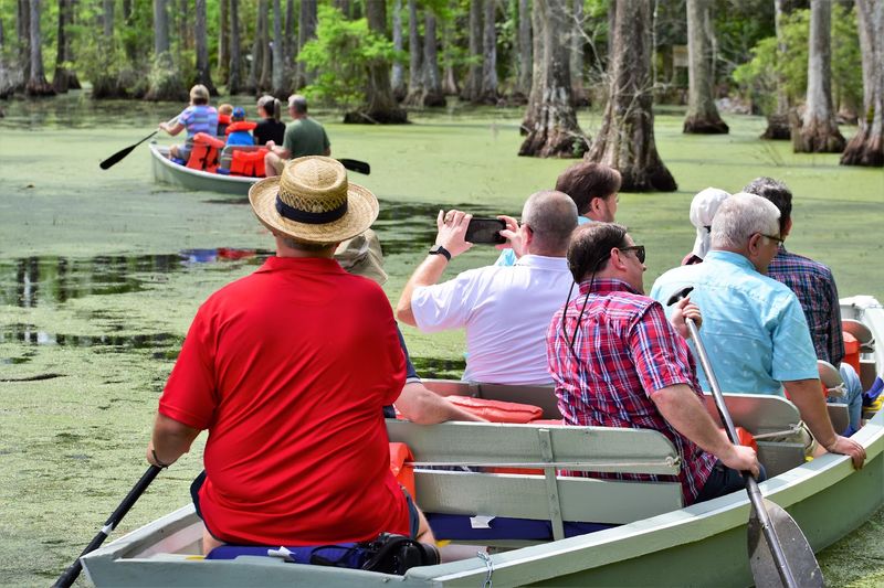 The Extra Exhibits Make It More Than A Swamp Ride