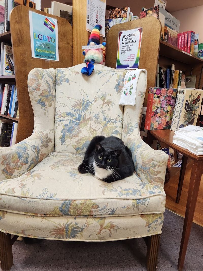 Perfectly Placed Reading Nooks Throughout the Store