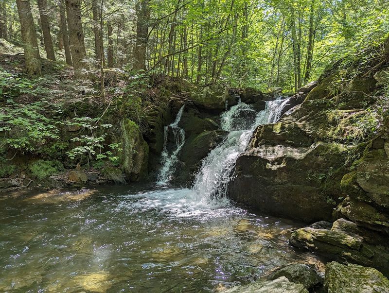 The Swimming Hole Secret