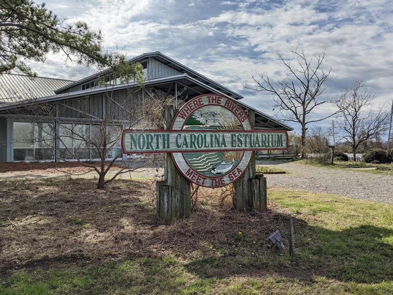 The North Carolina Estuarium - Washington, NC