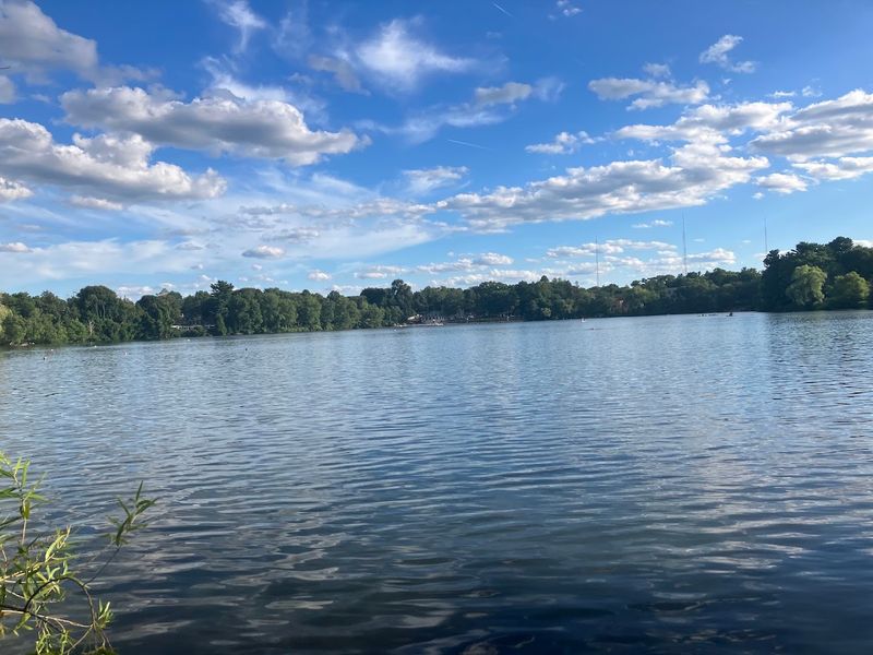 Why Swimmers Keep Coming Back